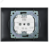 SK-R23-10-K48-F SKANDY Розетка 2-местная без заземления с защитными шторками 10А в сборе SK-R09T титан IEK 