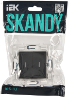 SKANDY Выключатель 2-клавишный с индикацией 10А SK-V09T титан IEK SK-V20-1-10-K48