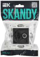SKANDY Розетка двойная TV+RJ45 кат.5E SK-A14T титан IEK SK-AK20-1-K48