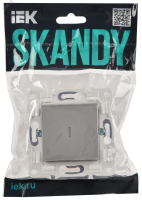 SKANDY Выключатель 1-клавишный с индикацией 10А SK-V07S серебряный IEK SK-V10-1-10-K23
