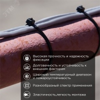 Хомут-стяжка кабельная нейлоновая 250х4.8 мм, черная, упаковка 100 шт, REXANT 07-0251-5
