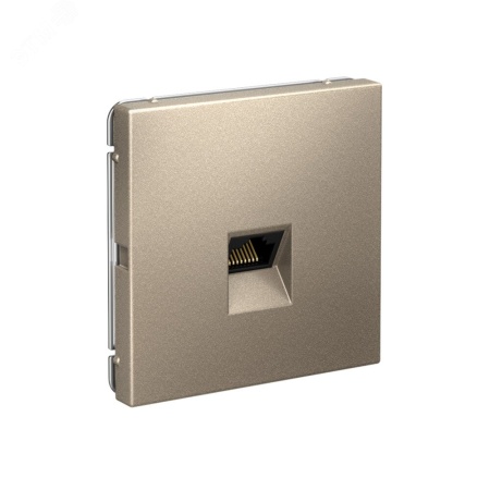 ARTGALLERY РОЗЕТКА компьютерная RJ45, кат. 5е, механизм, ШАМПАНЬ Systeme Electric GAL000583
