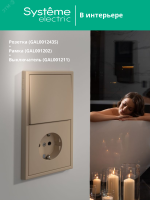 ARTGALLERY РОЗЕТКА с заземлением, 16А, механизм, быстрозажимные клеммы, песочный Systeme Electric GAL001243S SE (Потенциал)