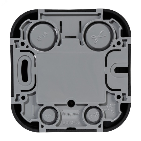782480 Розетка компьютерная RJ45 категория 5e UTP Legrand Quteo IP20 накладная чёрная матовая Legrand/Daccord 