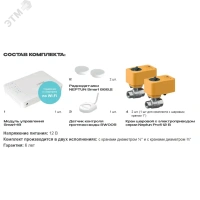 Система контроля протечки воды Profi Smart+ 1/2   Tuya Neptun 100035900800