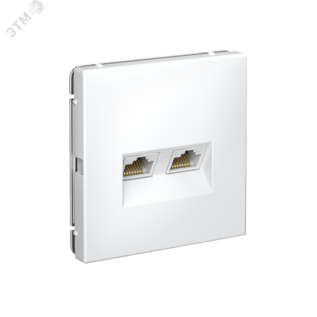 GAL000185 ARTGALLERY РОЗЕТКА двойная компьютерная RJ45+RJ45, кат. 5е, механизм, БЕЛЫЙ Systeme Electric 